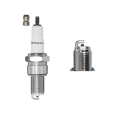 Nikèl etensèl ploge bpr5es -13 3154