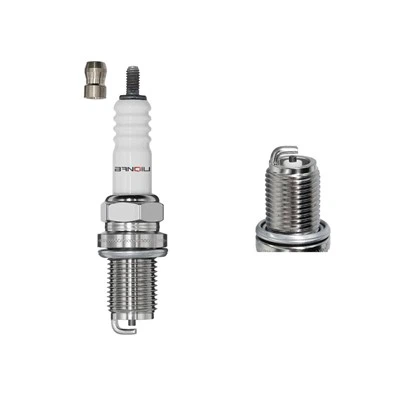 Nikèl Spark ploge DR8ES-L, rapid 218, q 218 2556